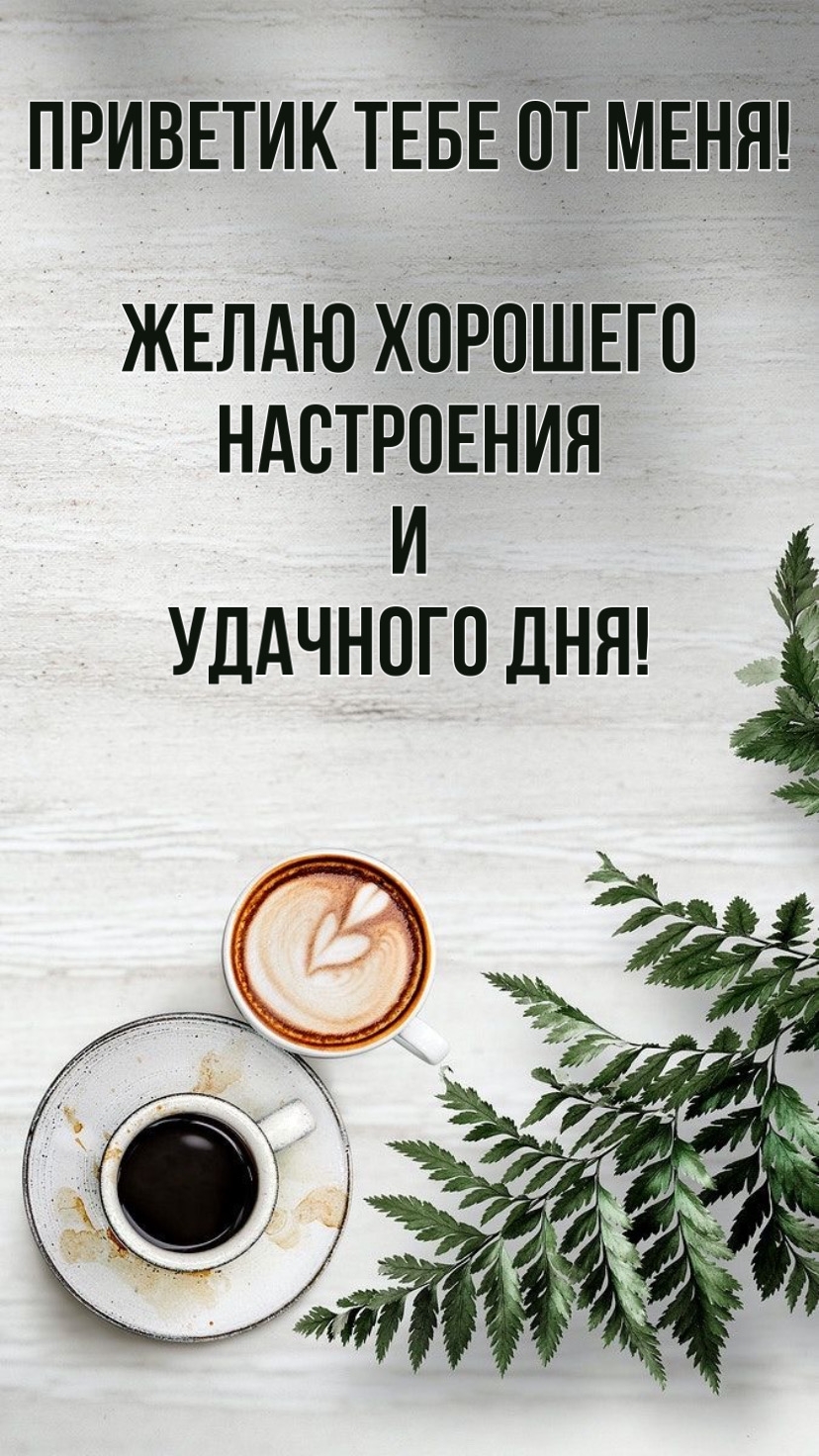 Желаю хорошего настроения и удачного дня!