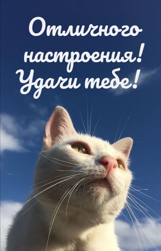 Отличного настроения! Удачи тебе!