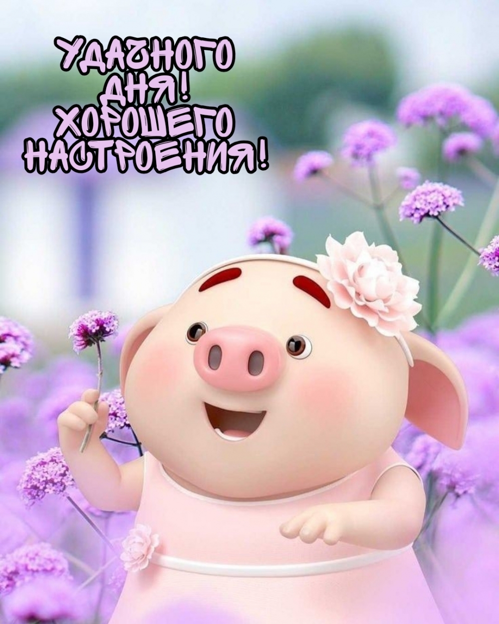 Удачного дня! Хорошего настроения!