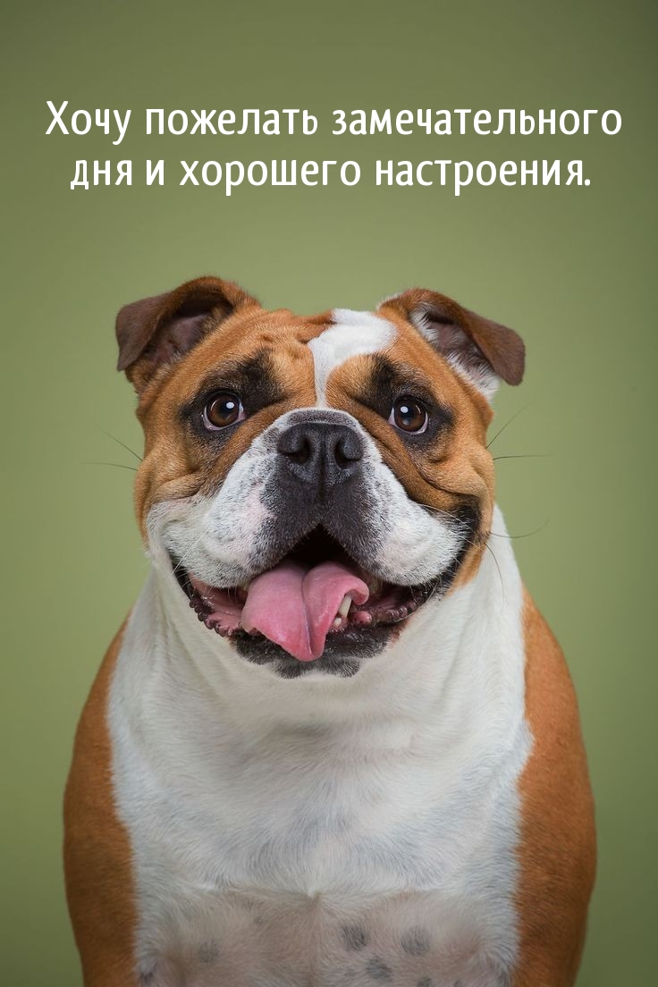 Хочу пожелать замечательного дня и хорошего настроения.