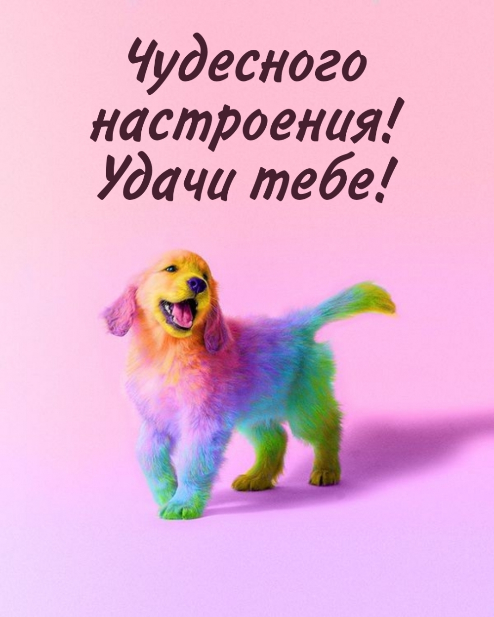 Чудесного настроения! Удачи тебе!