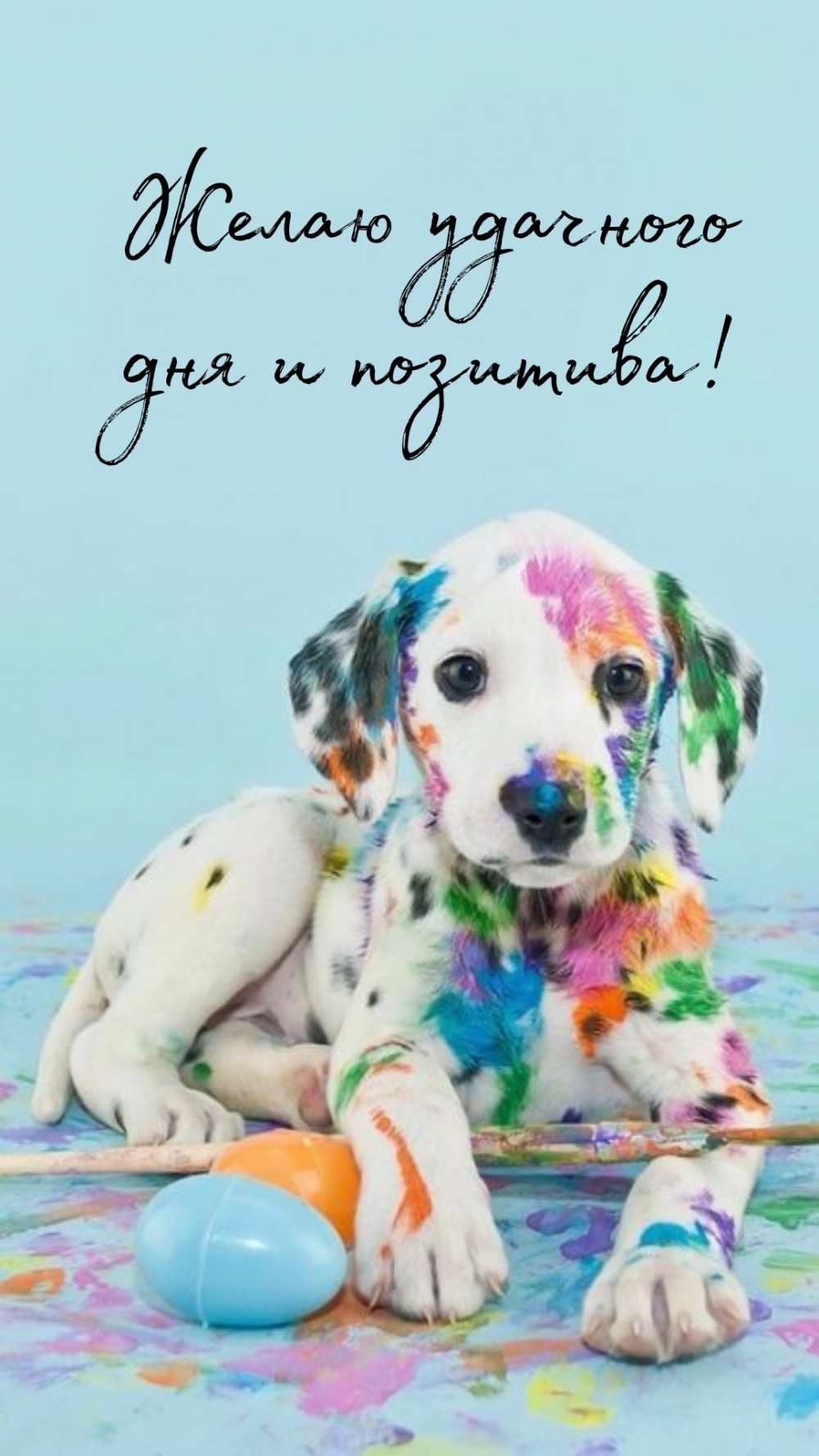 Желаю удачного дня и позитива!