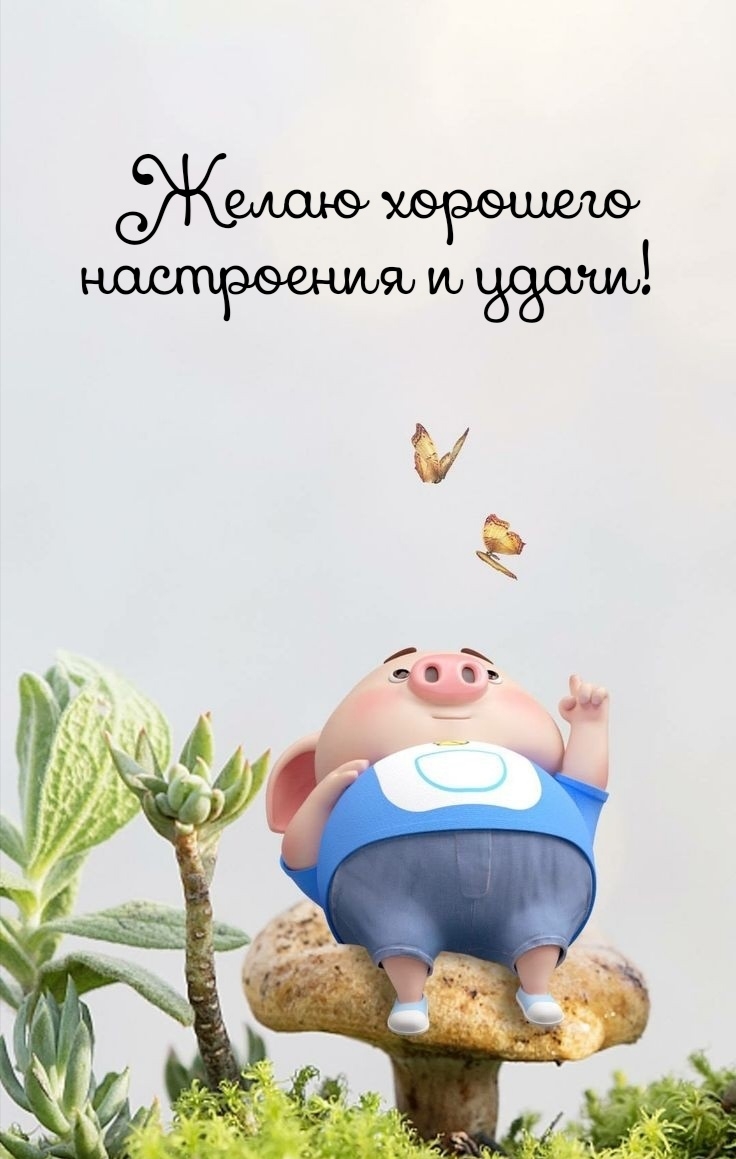 Желаю хорошего настроения и удачи!