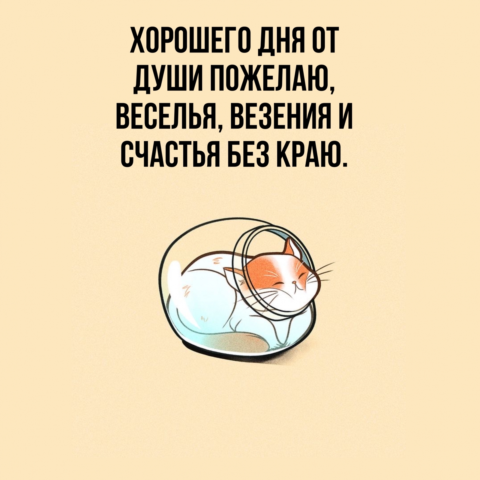 Хорошего дня от души пожелаю, веселья, везения и счастья