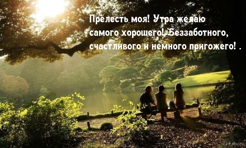 Прелесть моя! Утра желаю самого хорошего!