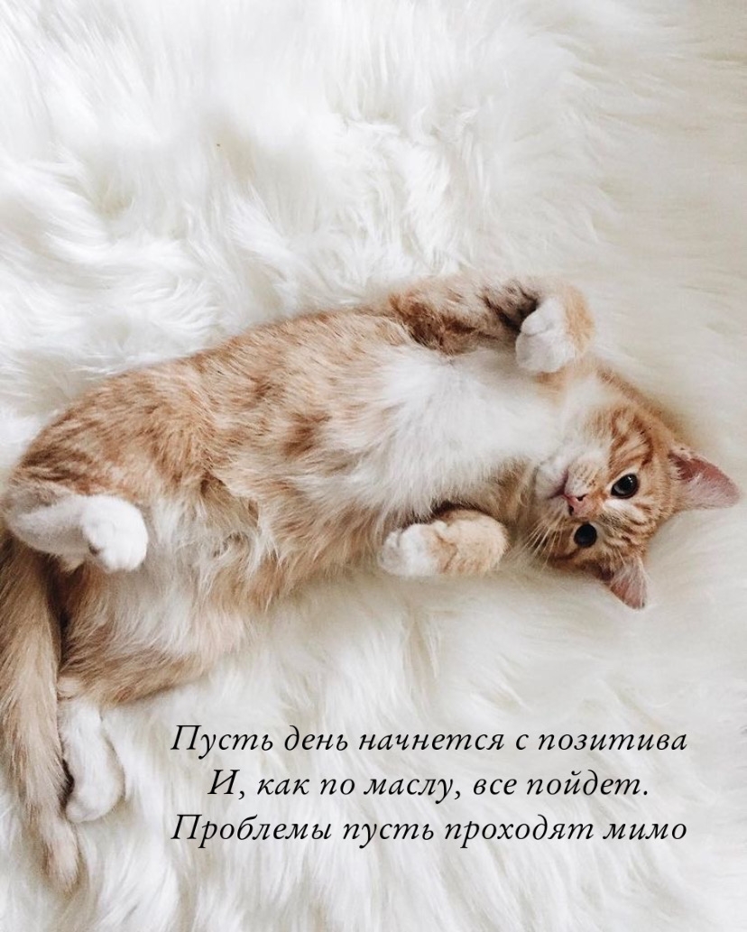 Пусть день начнется с позитива