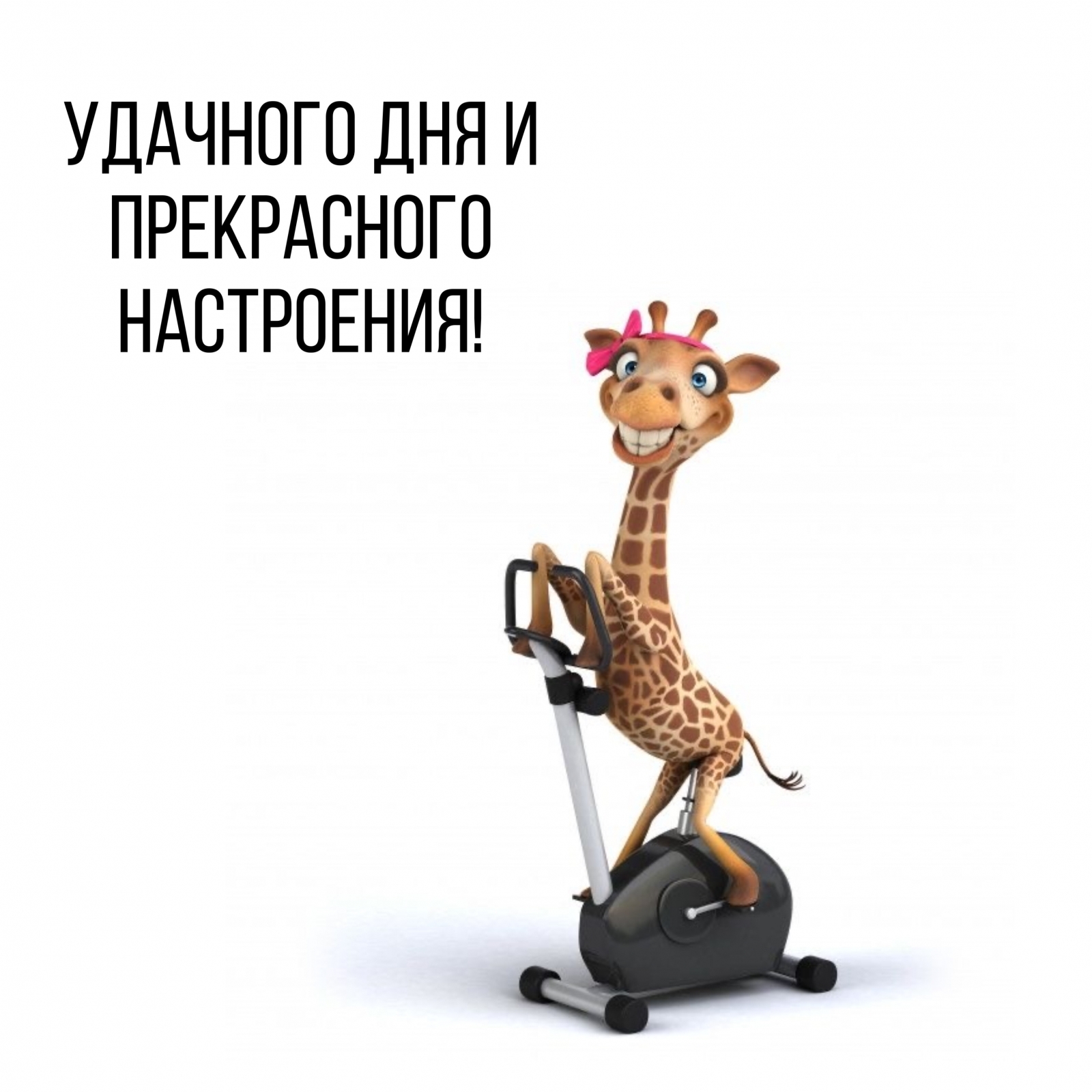 Удачного дня и прекрасного настроения!