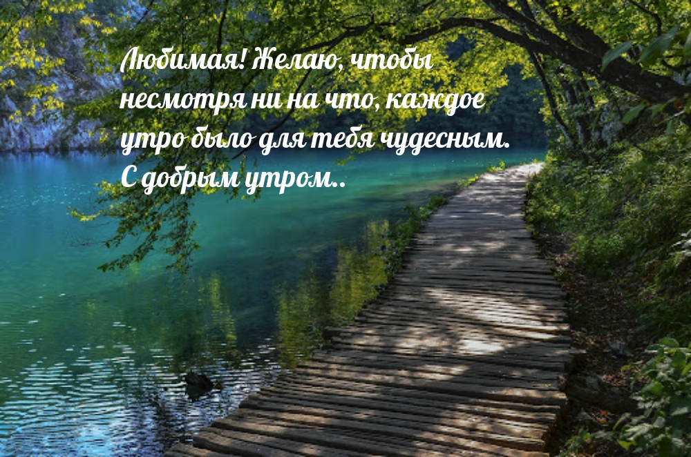 Любимая! Желаю чтобы каждое утро было чудесным!