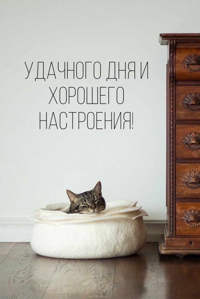 Удачного дня и хорошего настроения!