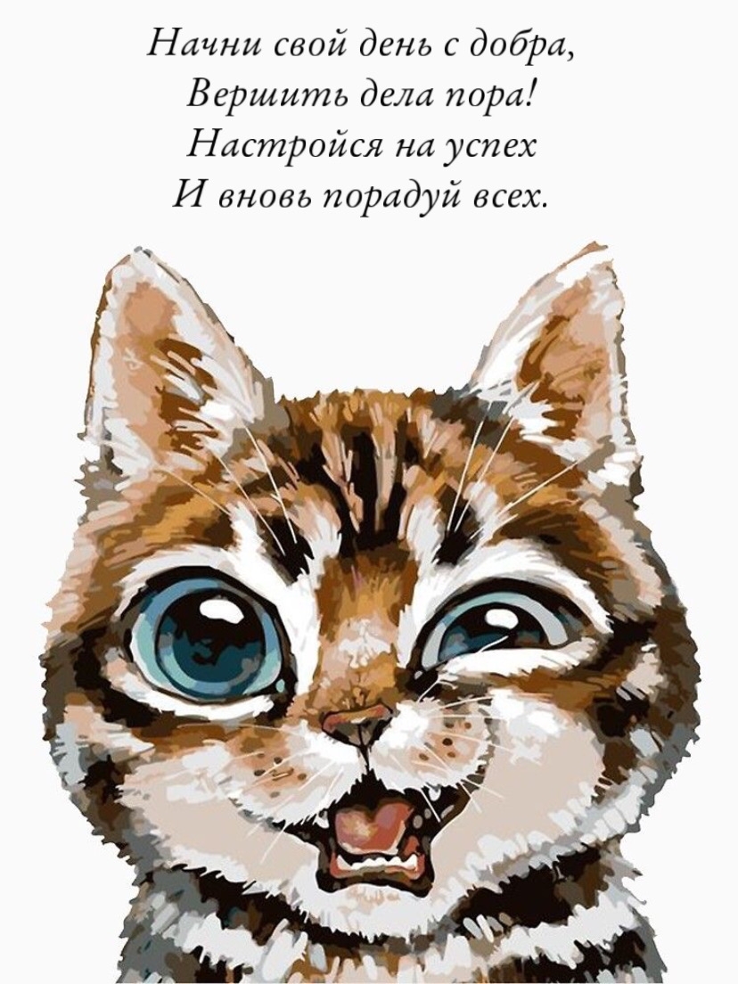 Начни свой день с добра, вершить дела пора!