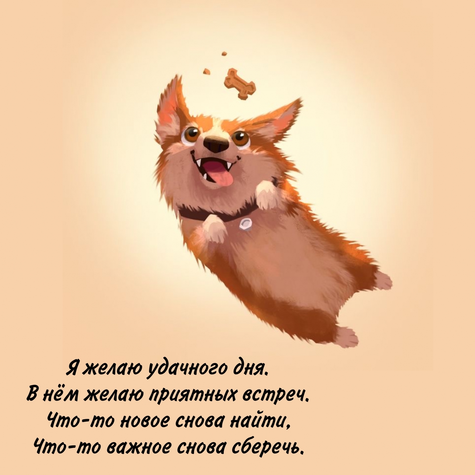 Я желаю удачного дня. В нём желаю приятных встреч.