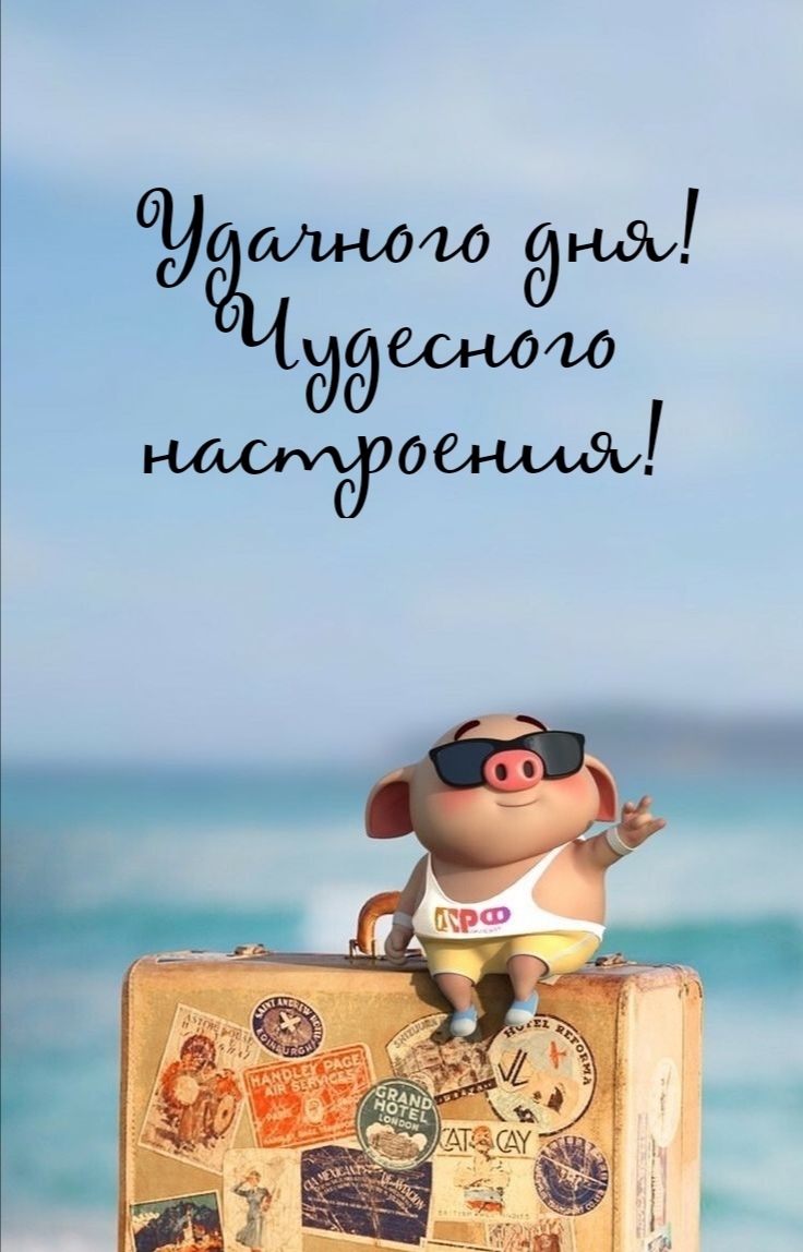 Удачного дня! Чудесного настроения!