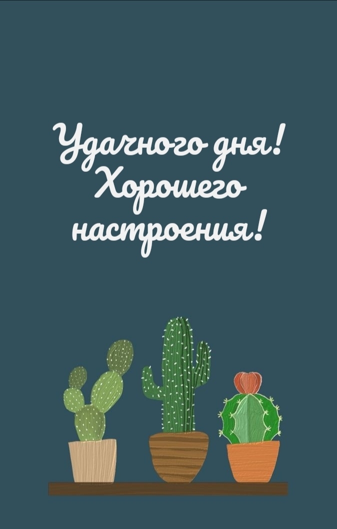 Удачного дня! Хорошего настроения!