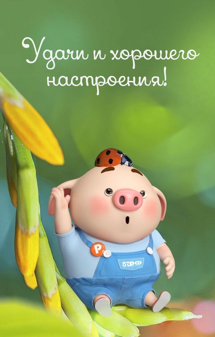 Удачи и хорошего настроения!