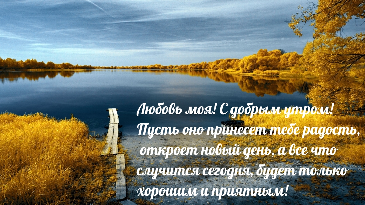 Любовь моя! С добрым утром!