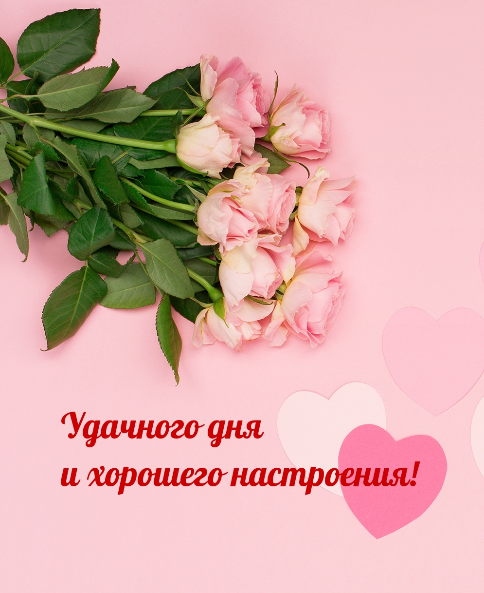 Удачного дня и хорошего настроения!