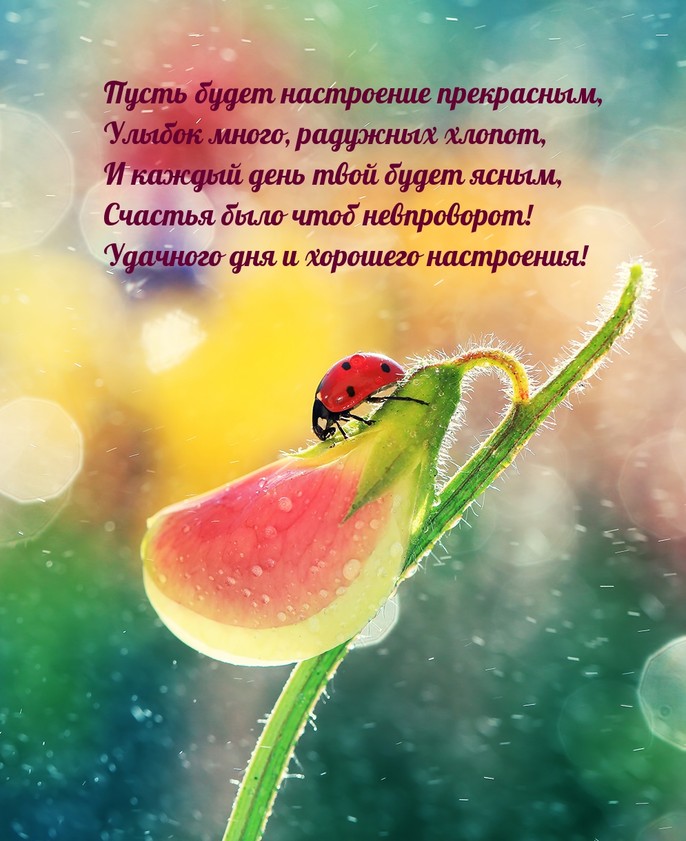 Пусть будет настроение прекрасным, улыбок много