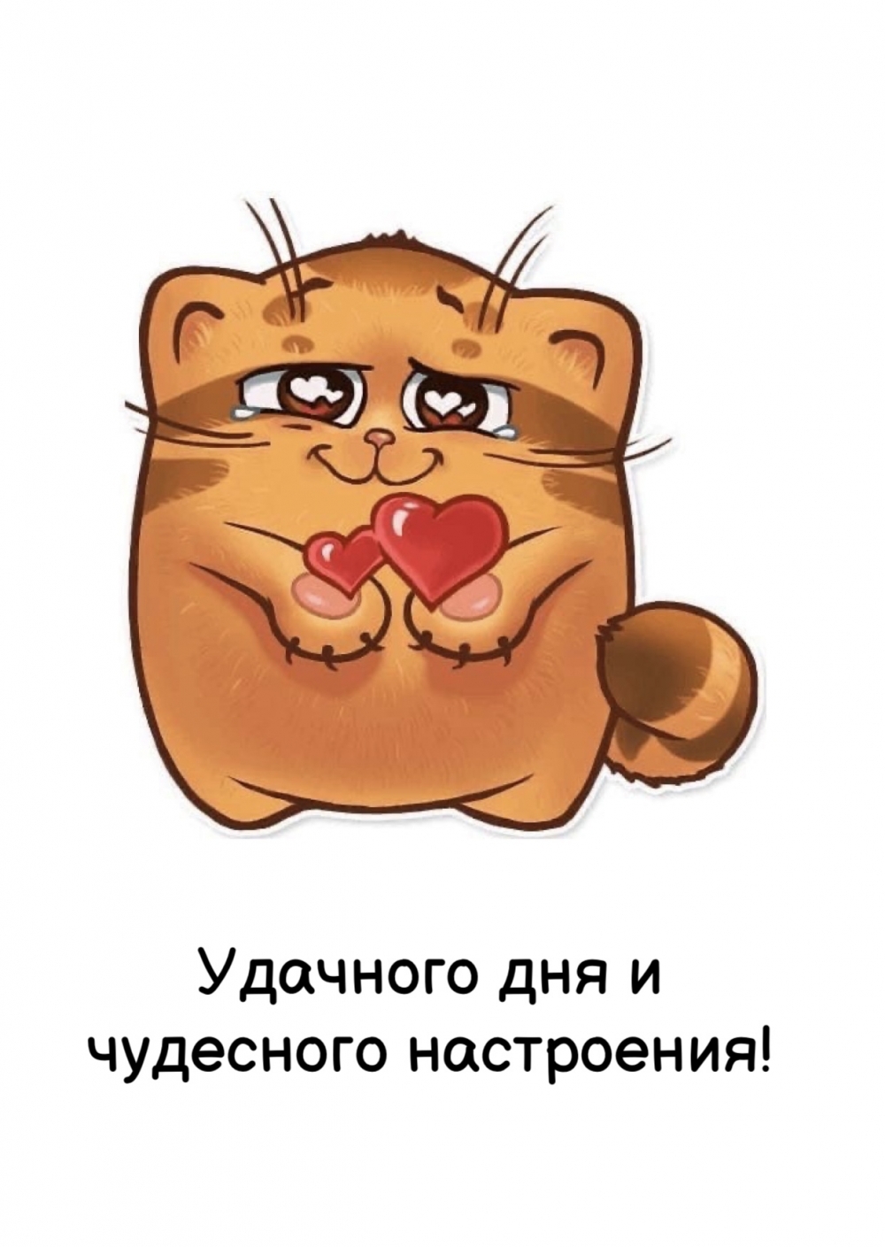 Удачного дня и чудесного настроения!