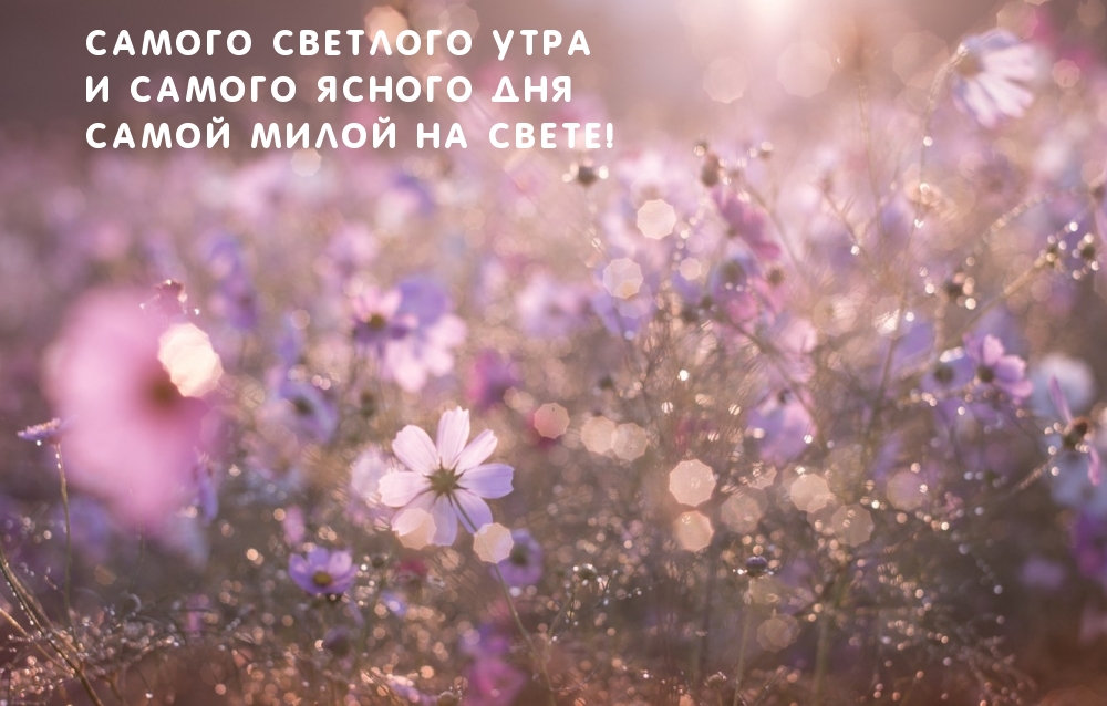 Самого светлого утра, самой милой!