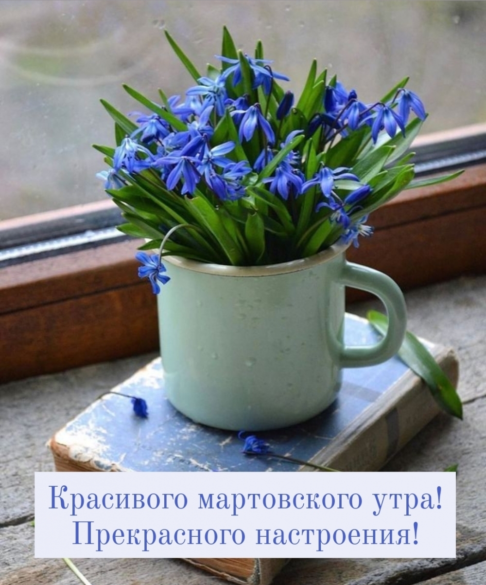 Красивого мартовского утра! Прекрасного настроения!