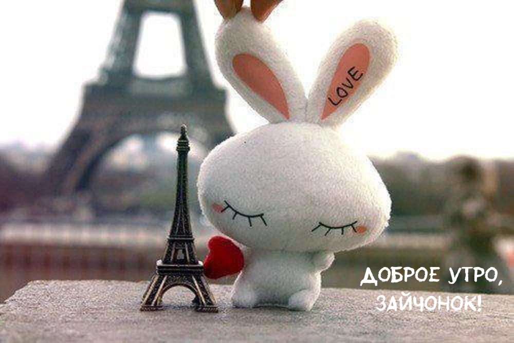 Доброе утро, зайчонок!
