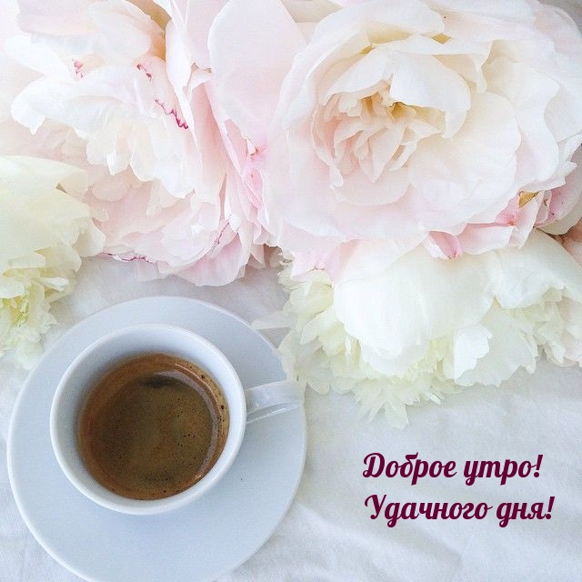 Доброе утро! Удачного дня!