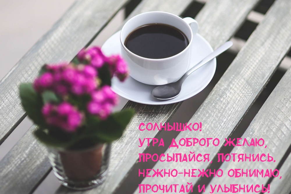 Солнышко! Утра доброго желаю!