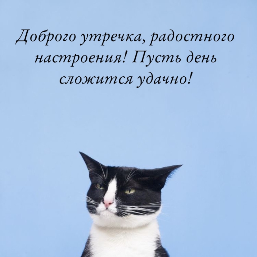 Доброго утречка, радостного настроения!