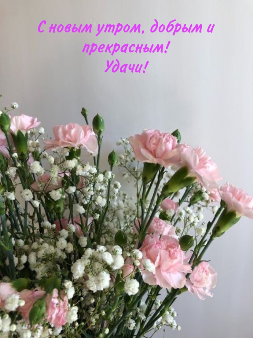 С новым утром, добрым и прекрасным! Удачи!