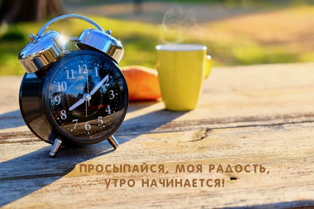 Просыпайся, моя радость, утро начинается!