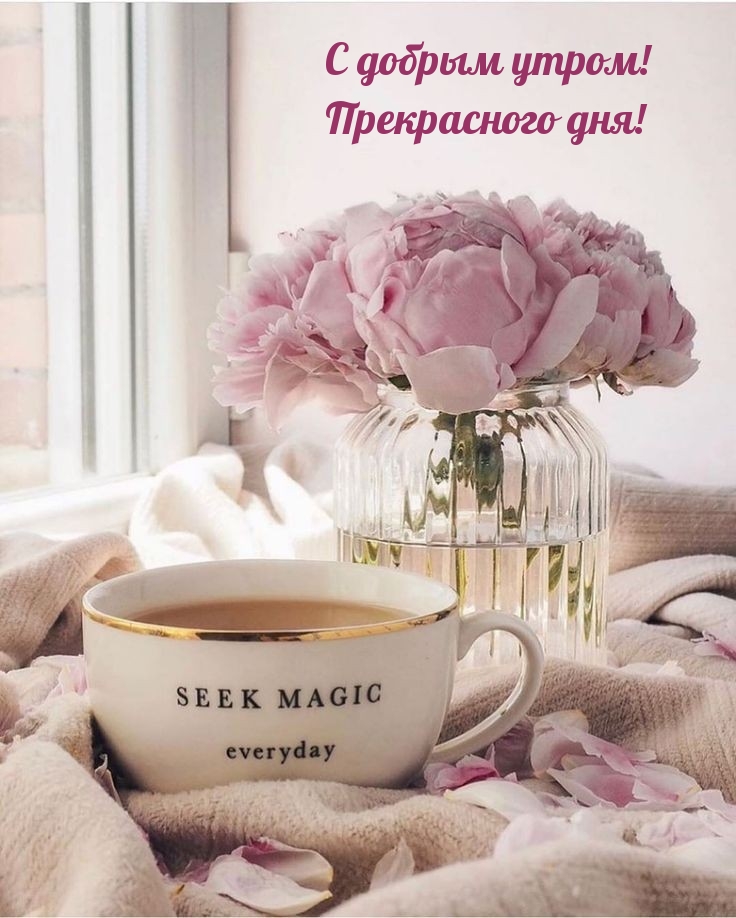 С добрым утром! Прекрасного дня!