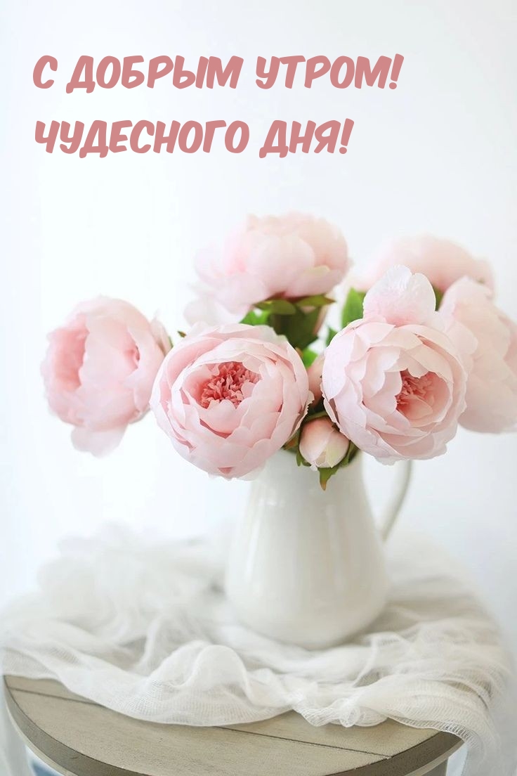 С добрым утром! Чудесного дня!