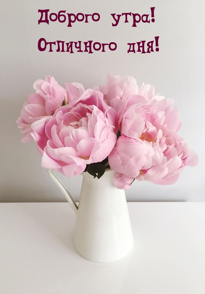 Доброго утра! Отличного дня!