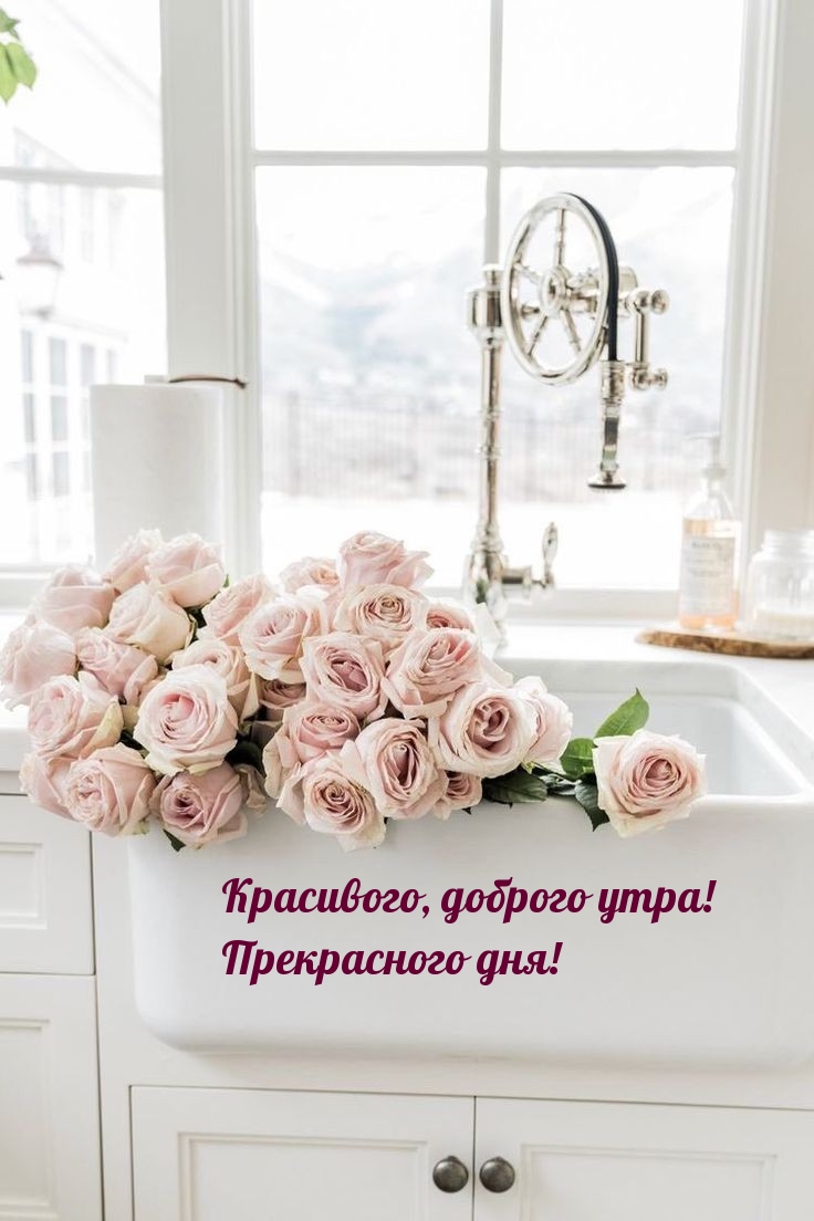 Красивого, доброго утра! Прекрасного дня!