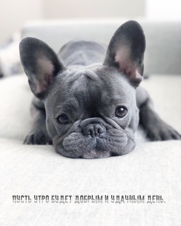 Пусть утро будет добрым и удачным день.