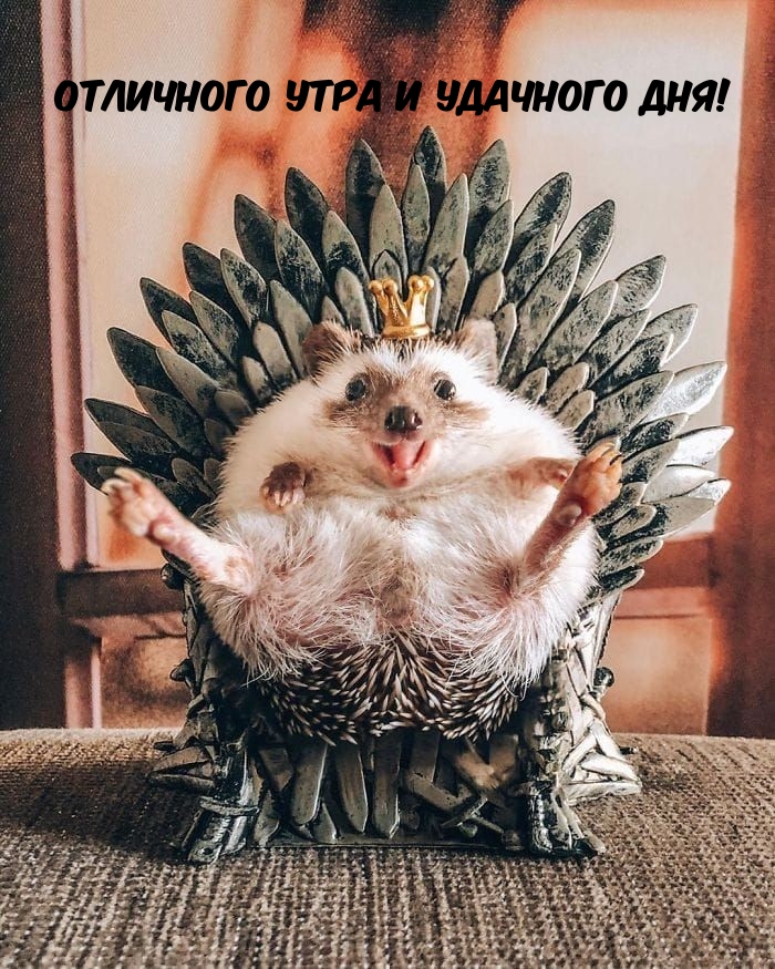 Отличного утра и удачного дня!