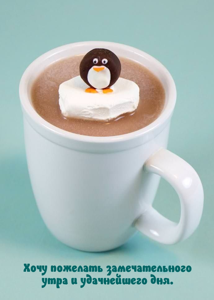 Хочу пожелать замечательного утра и удачнейшего дня.
