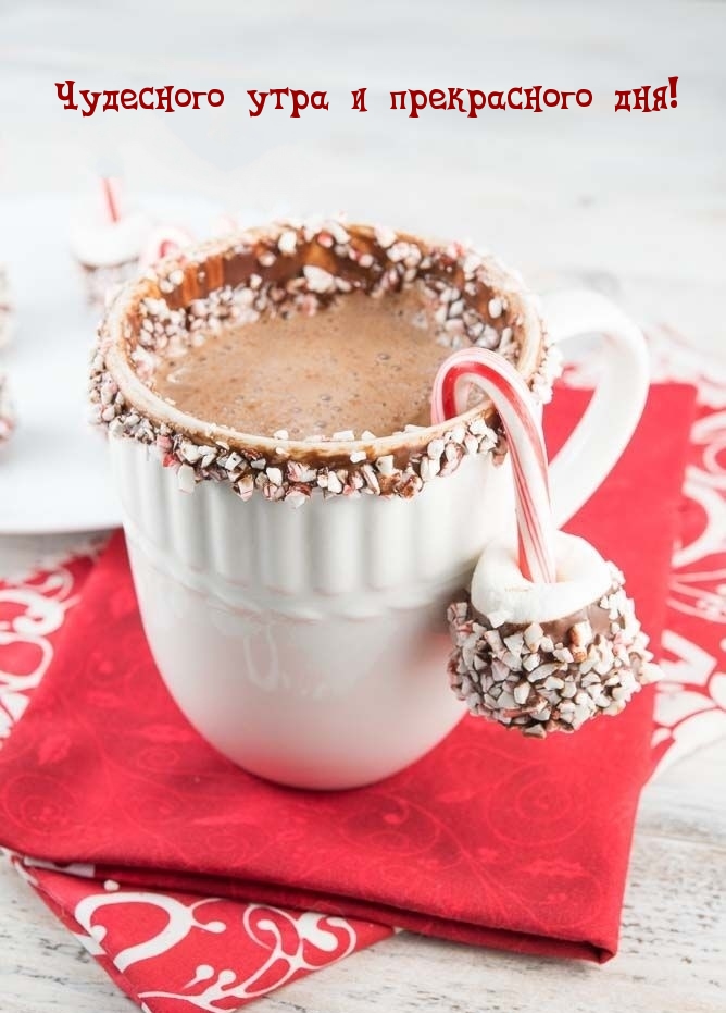 Чудесного утра и прекрасного дня!