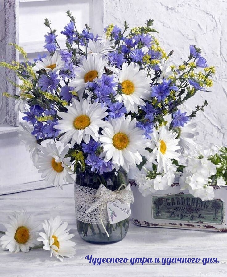 Чудесного утра и удачного дня.