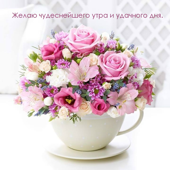 Желаю чудеснейшего утра и удачного дня.