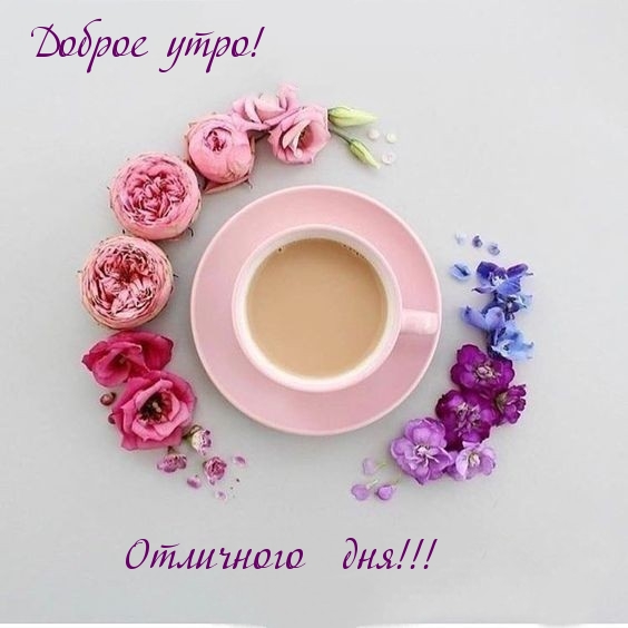 Доброе утро! Отличного дня!