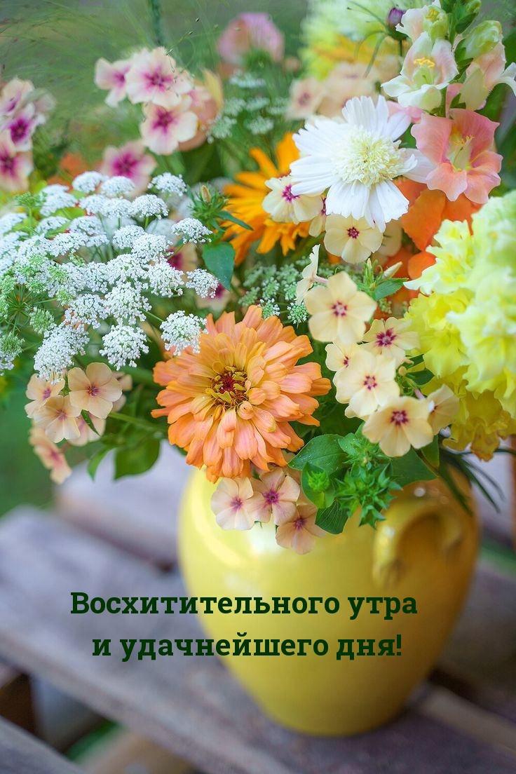 Восхитительного утра и удачнейшего дня!