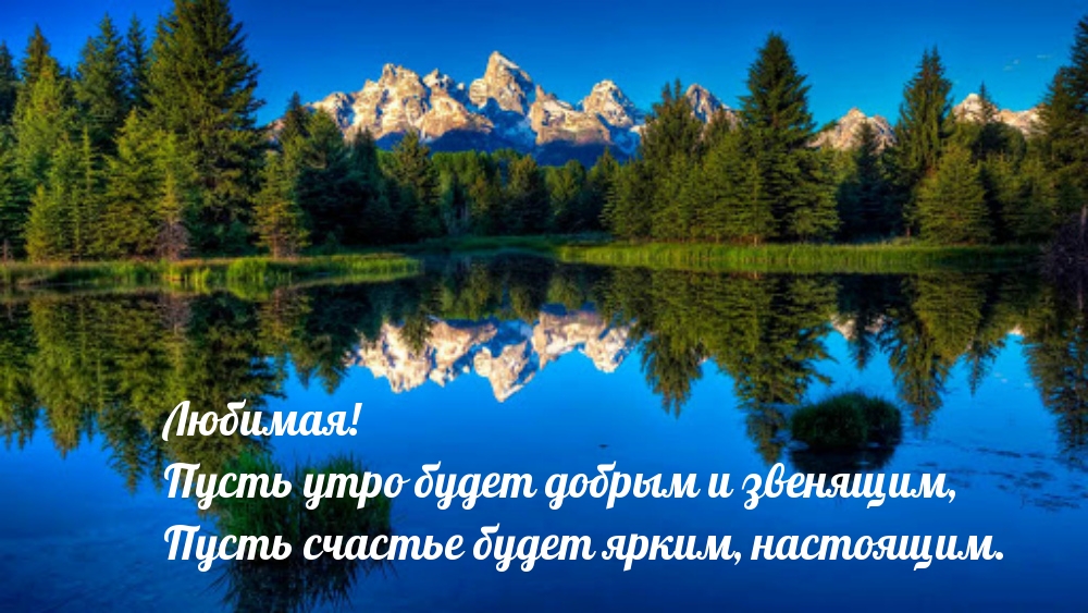Любимая! Пусть утро будет добрым и звенящим