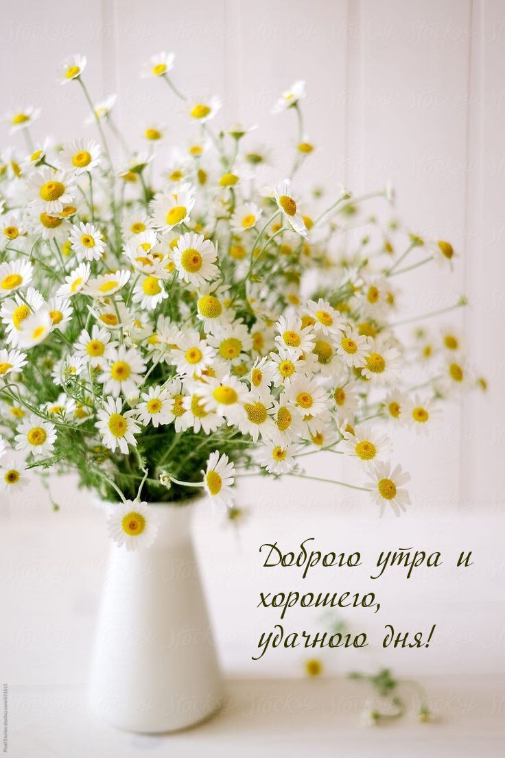 Доброго утра и хорошего, удачного дня!