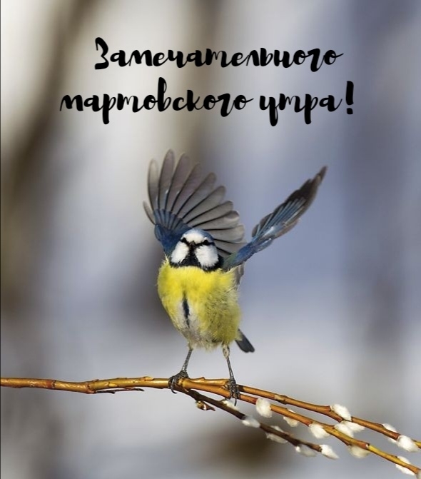 Замечательного мартовского утра!