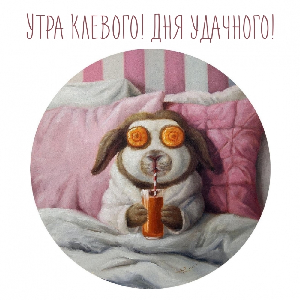 Утра клеевого! Дня удачного!