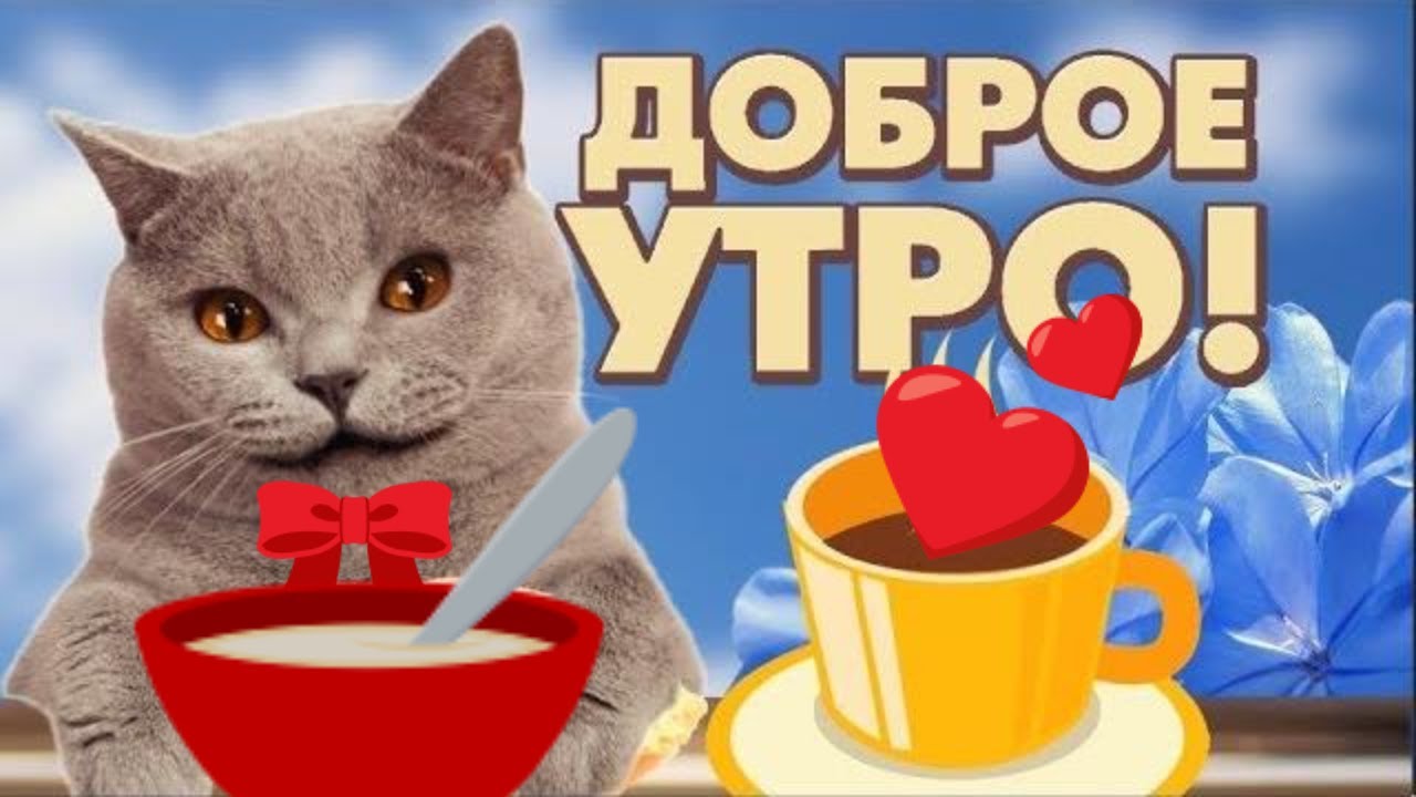 Доброе утро! Котик с сердечками
