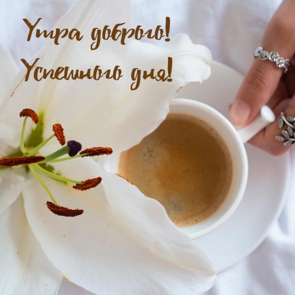 Утра доброго! Успешного дня!