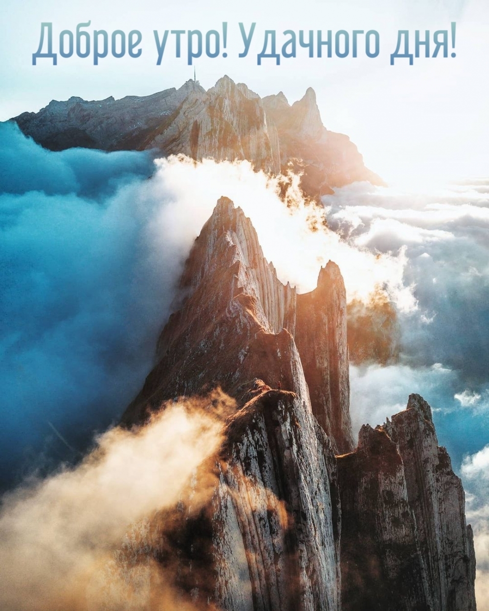 Доброе утро! Удачного дня!