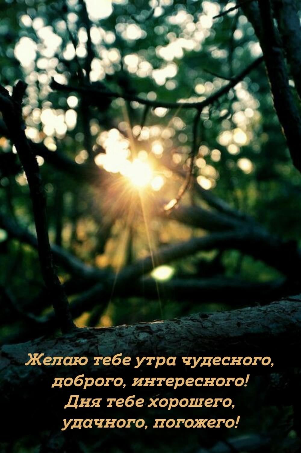 Дня тебе хорошего, удачного, погожего!